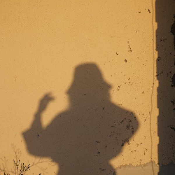 Soft shadows playing on a wall during sunset.